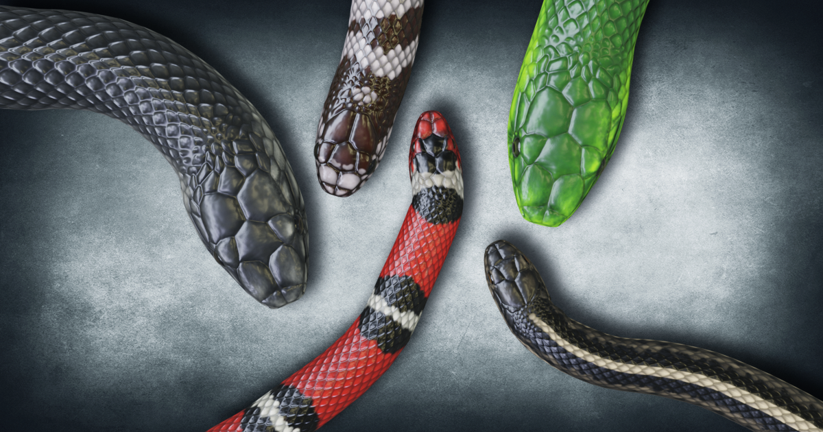 Basic Unity Snake Color Animated Snakes PBR Volume 1 | Characters | Unity Asset Store