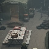 Survival Camp Environment