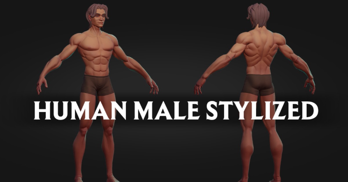 Human Male Stylized | 3D Humanoids | Unity Asset Store