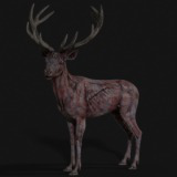 Deer — Zombie and Mutant Collection