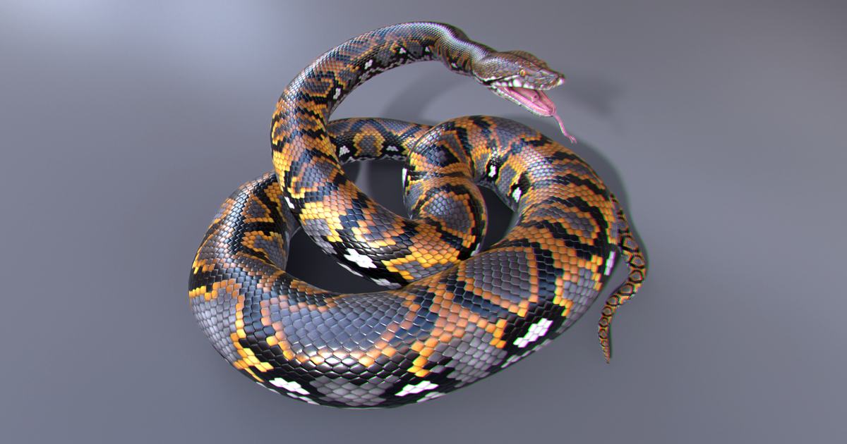 Reticulated Python | Characters | Unity Asset Store