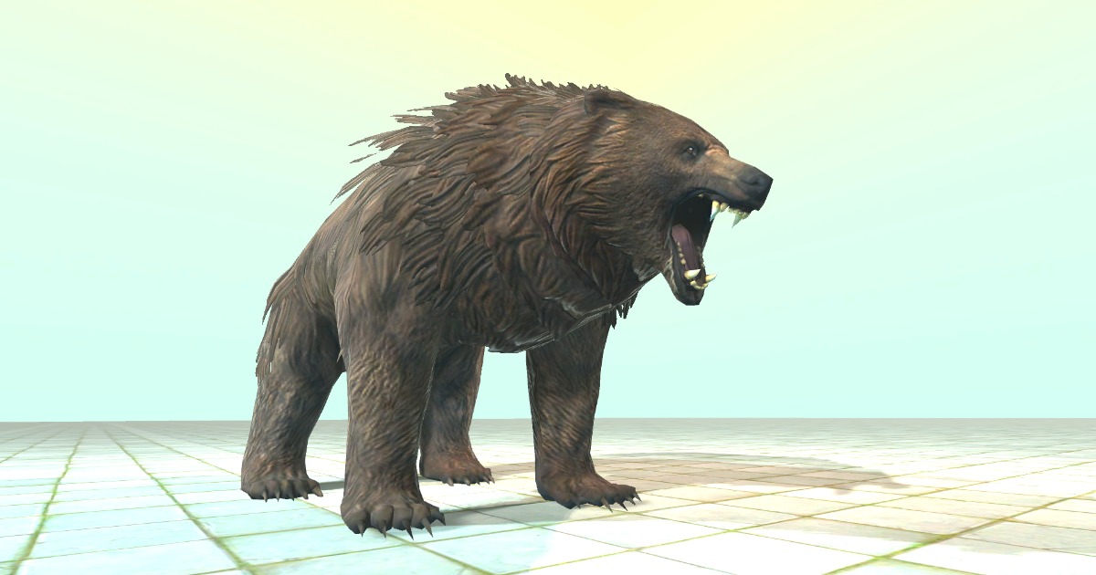 Brown Bear-SW | 3D 동물 | Unity Asset Store