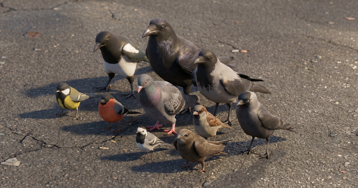 Street birds - animals pack | Characters | Unity Asset Store