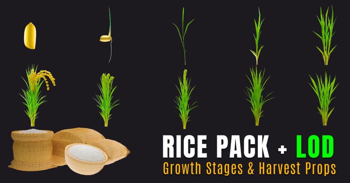 Green Rice Cook Unity Rice Farm Growth Stages – LOD 3D Bundle | 3D Plants | Unity Asset Store