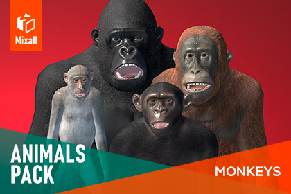 Monkeys - animals pack