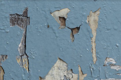 Decals of Wood Details Vol. 2: 30 Wood details photoscanned 2K
