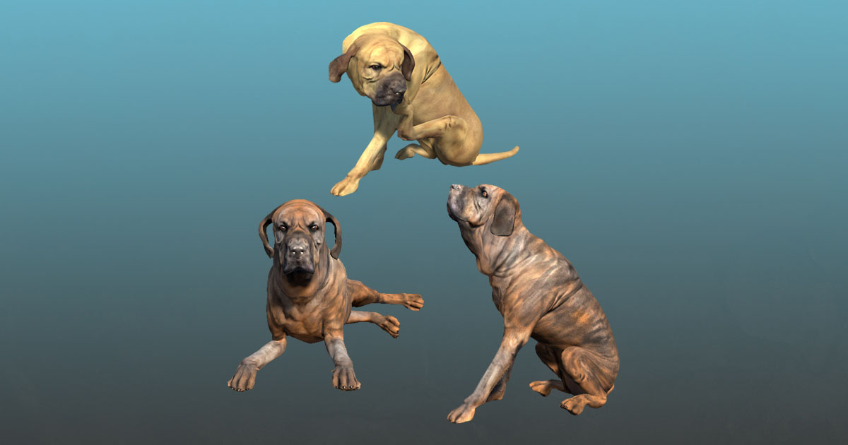 Dog Fila (Short Version) | Characters | Unity Asset Store