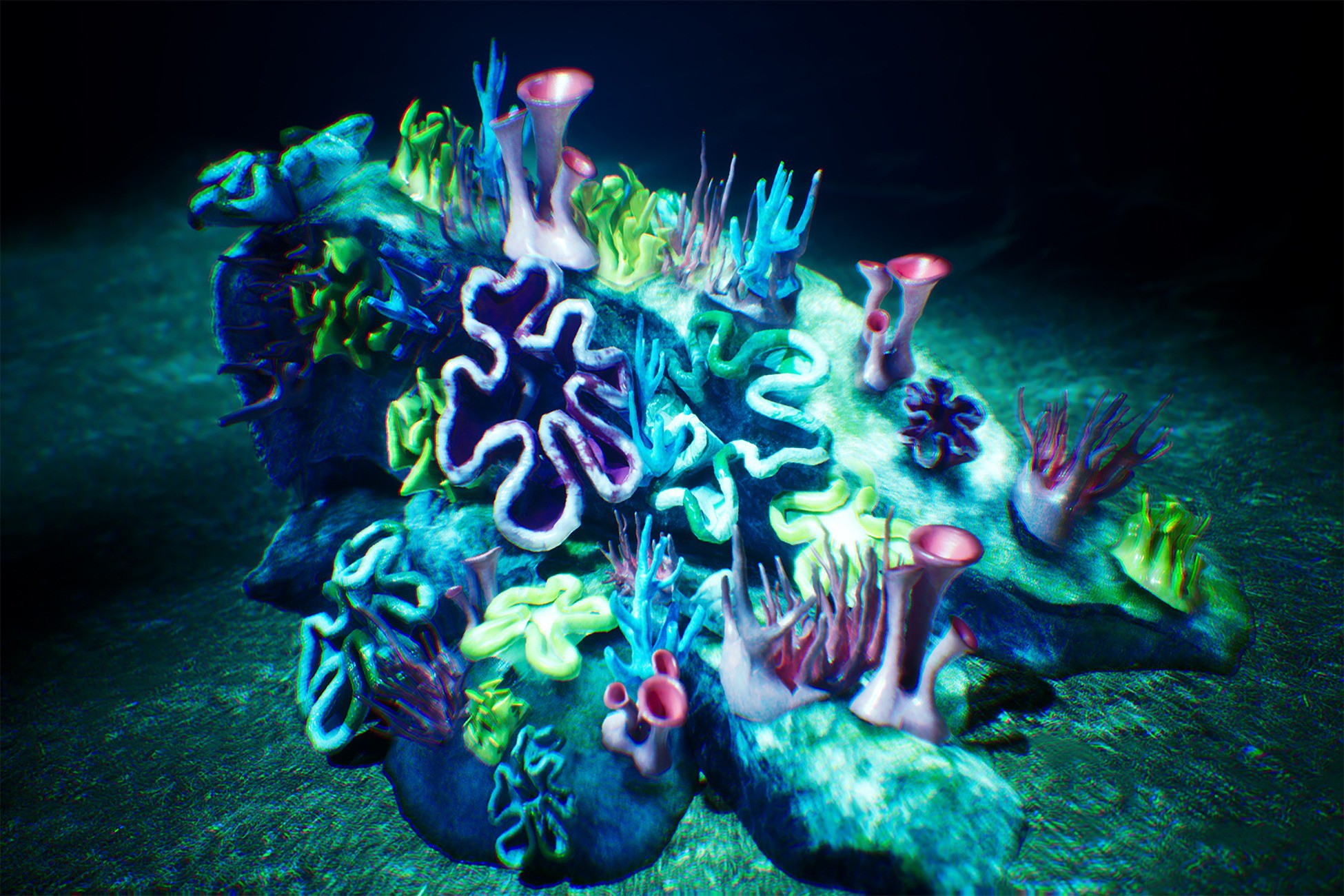 Coral Props / 40 Assets | 3D 道具 | Unity Asset Store