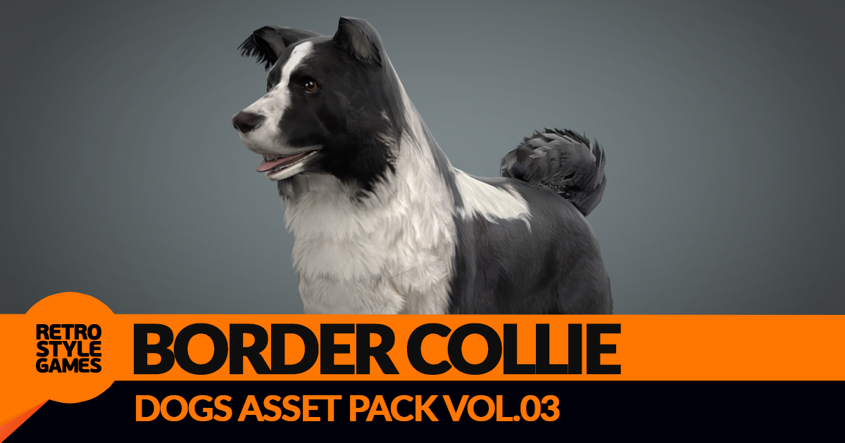 Border Collie 3D Model | 3D Animals | Unity Asset Store