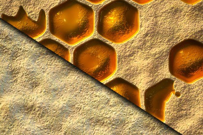 HoneyComb Texture & Material Vol. 01