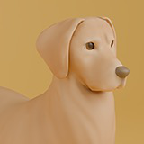 Golden Retriever Dog