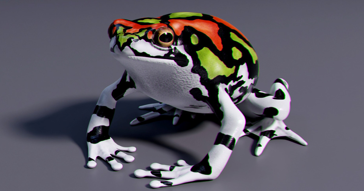 Malagasy Rainbow Frog | 3D Animals | Unity Asset Store