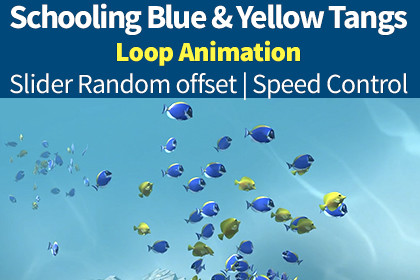 Schooling 30 Coral Fish - Blue & Yellow Tangs