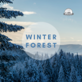 Winter Forest Sounds