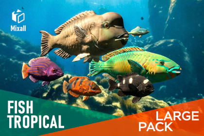 Tropical fish - large pack