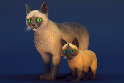Milo the Cat