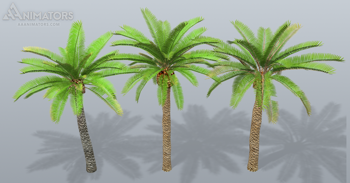 Low Poly Palm Tree 02 | 3D 나무 | Unity Asset Store