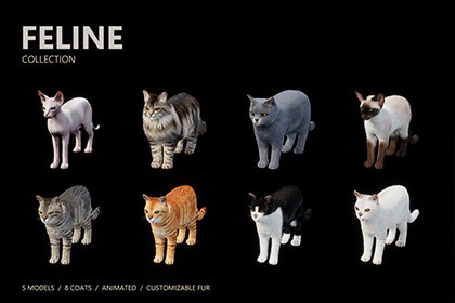 Feline Collection – Realistic Animated Cats with Customizable Fur