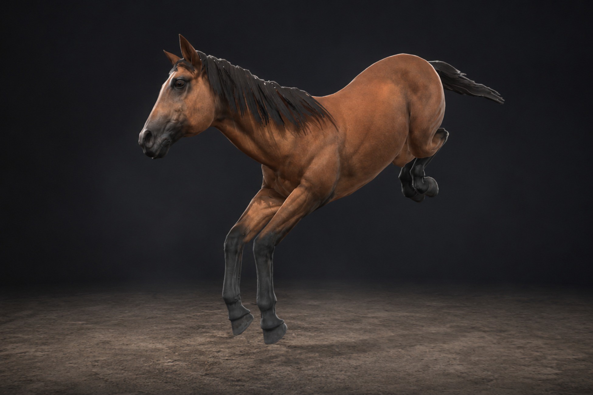 PBR Horse
