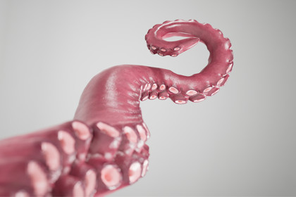 Tentacle Kraken Octopus