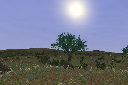 Runtime World Generation