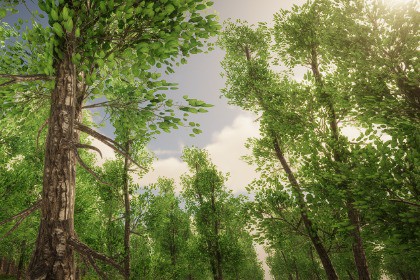 HDRP Tree Pack #4