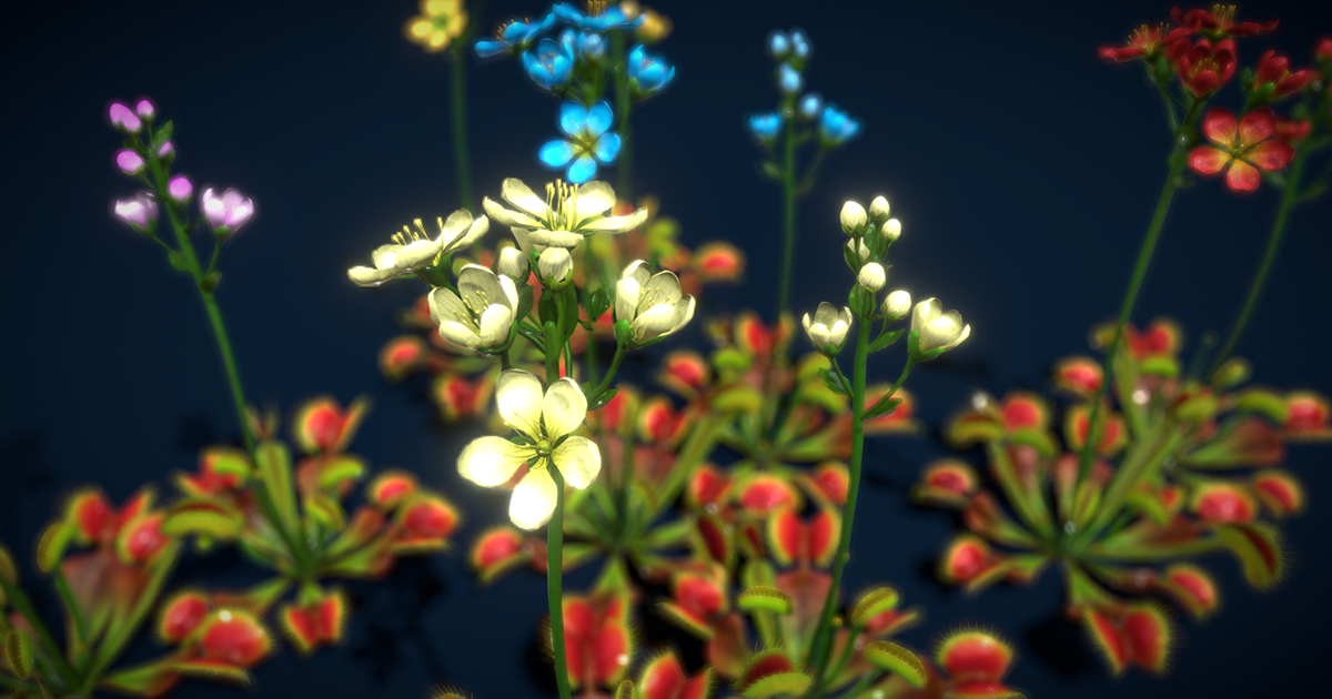 Flower Venus Flytrap | 3D Flowers | Unity Asset Store