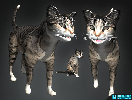 HerdSim Cat | Characters | Unity Asset Store