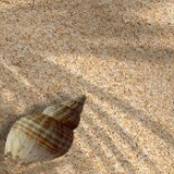 SomeWhatGood - Beach (Music For Seaside Environments)