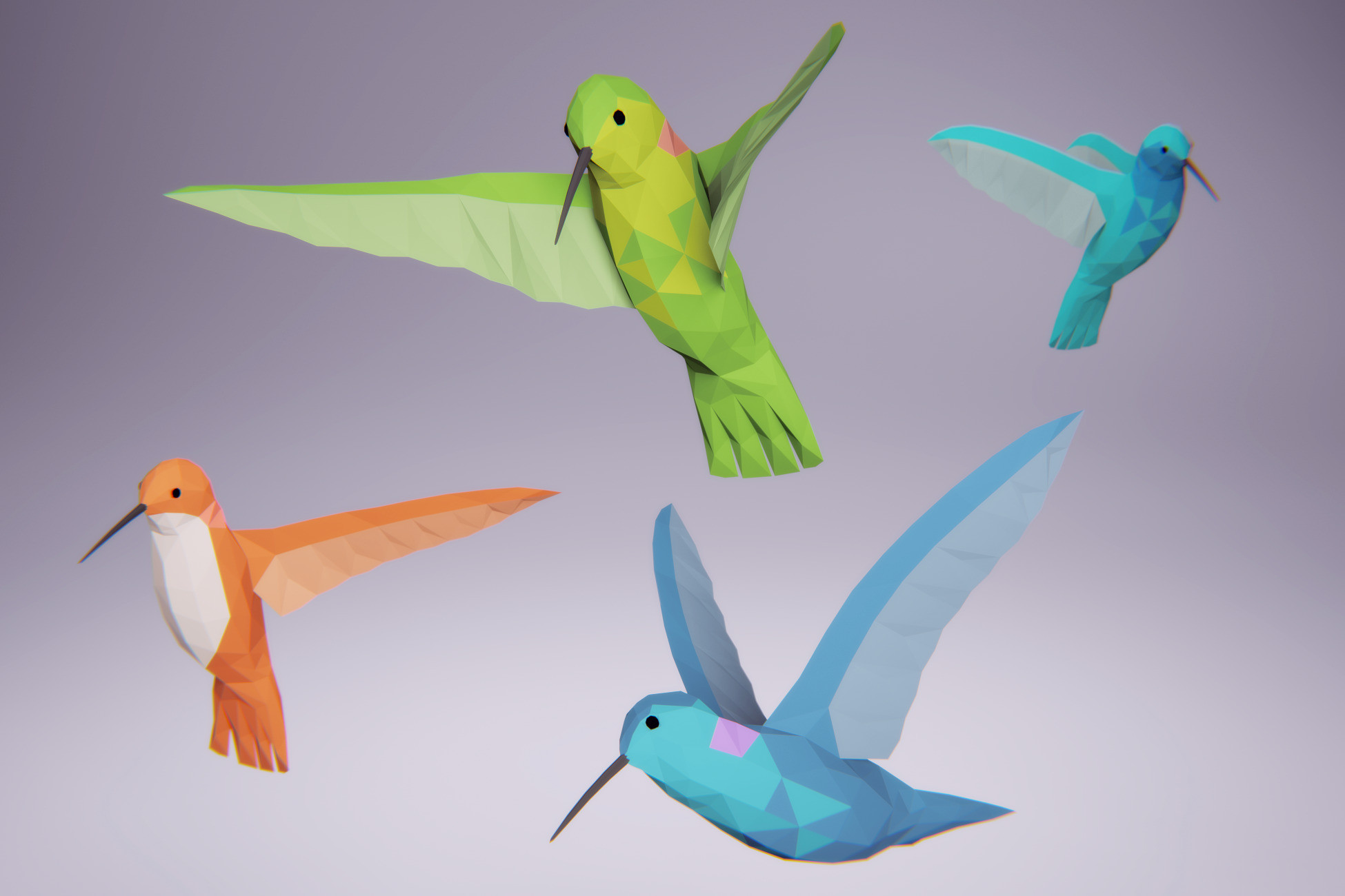 Low Poly Bird Hummingbird Characters Unity Asset Store