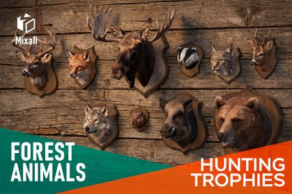 Forest animals – Hunting trophies