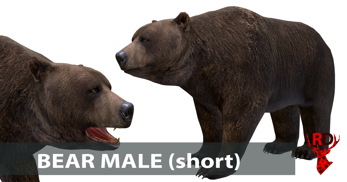 Bear male (short) | Characters | Unity Asset Store