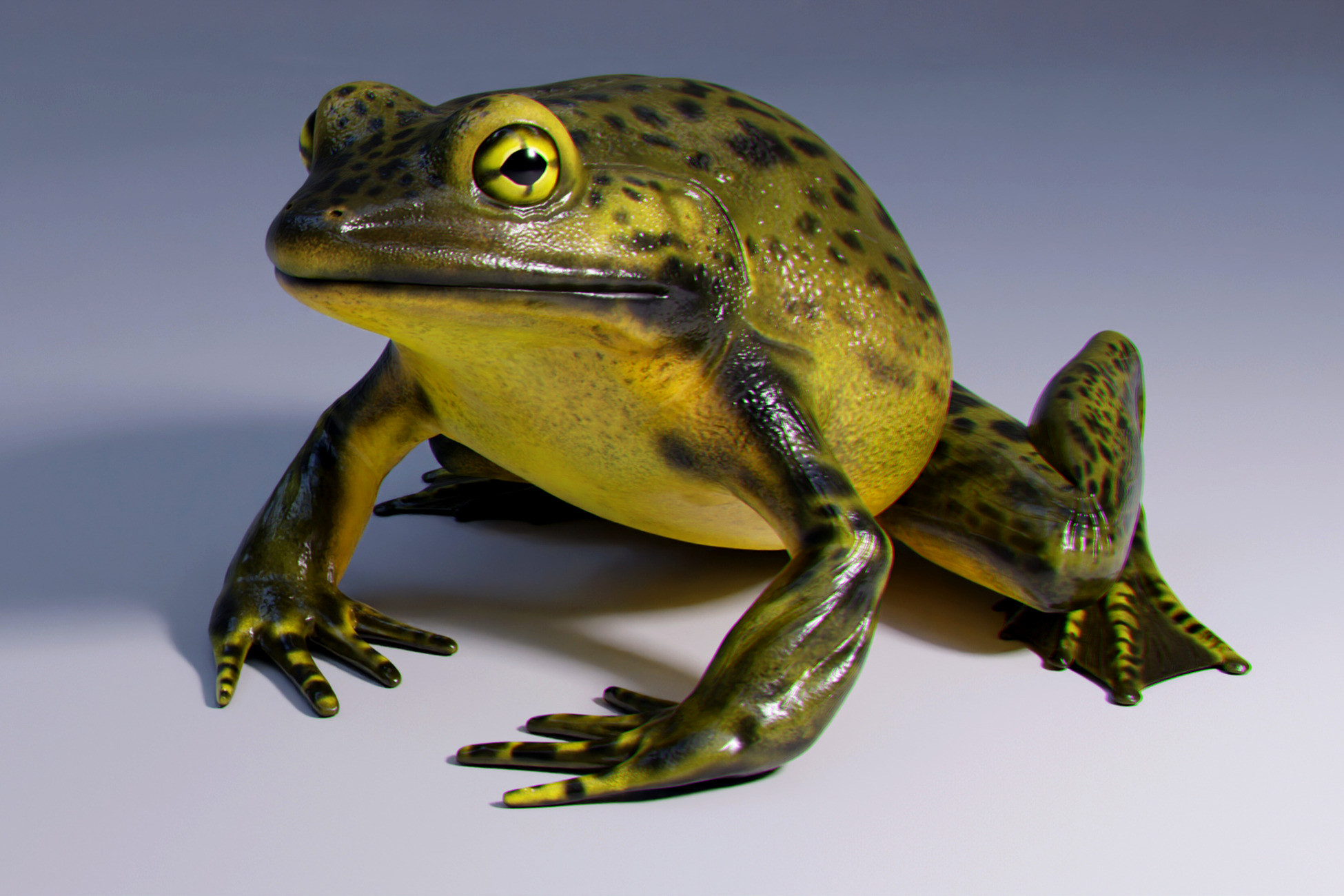 Goliath Bullfrog 3D 동물 Unity Asset Store