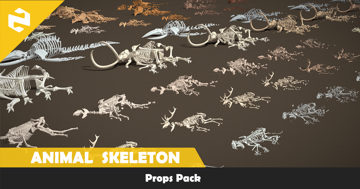 Bone Model Unity Props Pack - Animals Skeleton | 3D Props | Unity Asset Store