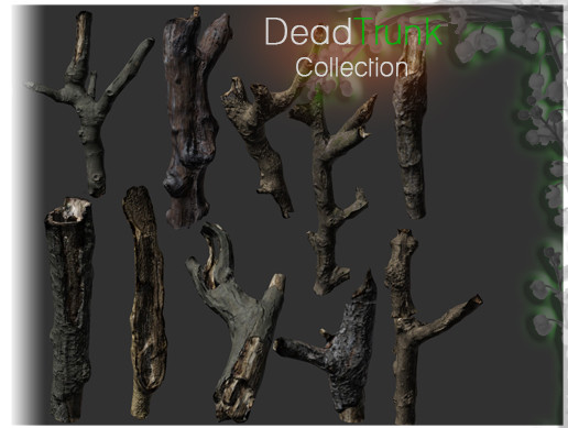 Trunk Collection | 3D Trees | Unity Asset Store