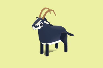 Sable Antelope - Quirky Series