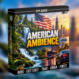 American Ambience