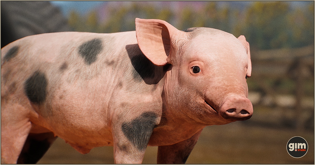 Pig Unity Animalia - Pig (young) | 3D Animals | Unity Asset Store