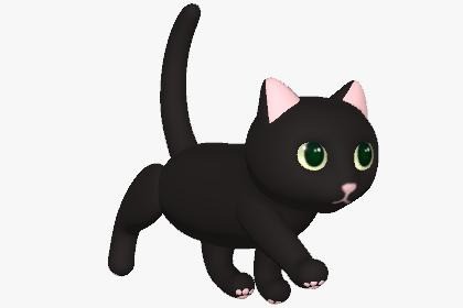Casual Cat - Black