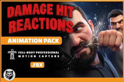 Damage Hit Reactions Animation Pack