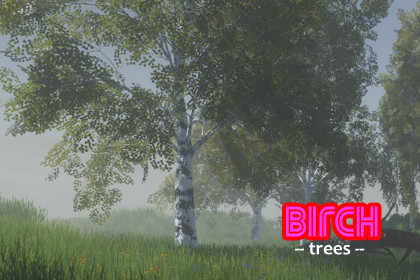 Trees - Birch (HQ)