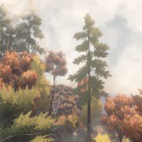 Autumn Forest - Stylized Nature