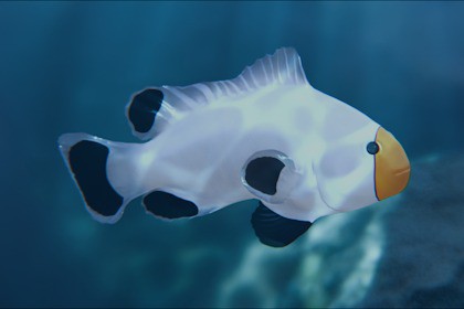 Clownfish Black Ice Platinium