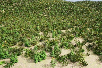 Realistic Meadow Grass Pack – Game Ready Foliage