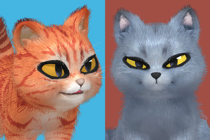 Cute Cat - British Shorthair