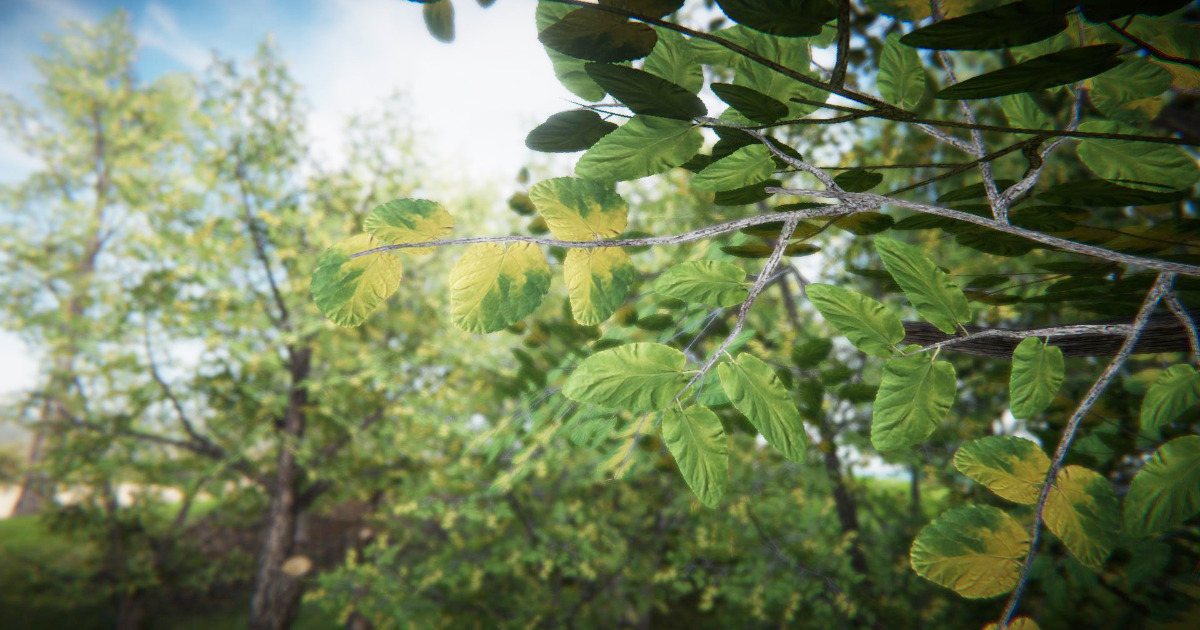 Mobile Realistic Tree 6 3D Trees Unity Asset Store