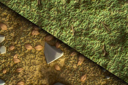 Ground (Forest) Texture & Material Vol. 06