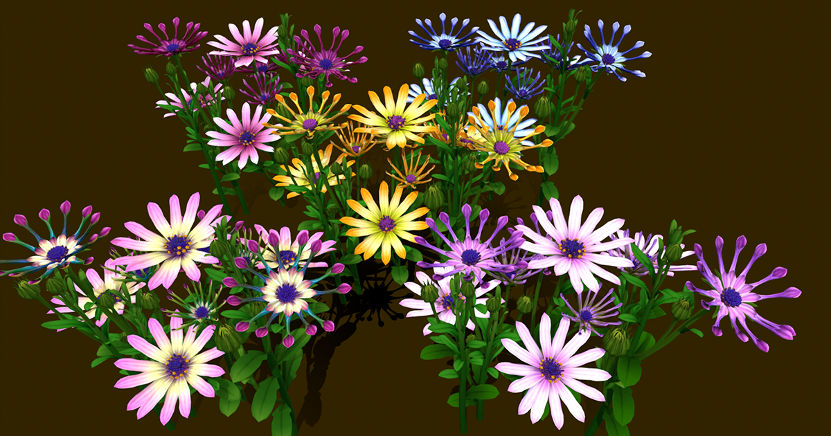 Flower Whirligig Daisies | 3D Flowers | Unity Asset Store