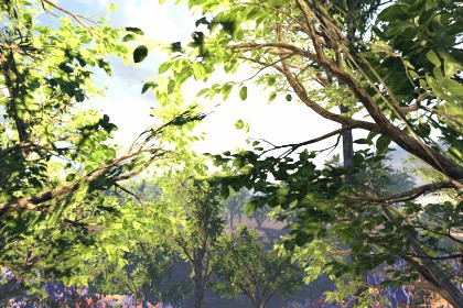 Mobile Tree Pack 25 (for URP)