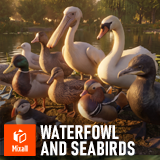 Waterfowl and seabirds - birds pack